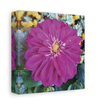 Stretched Matte Canvas - Flower of Dahlia