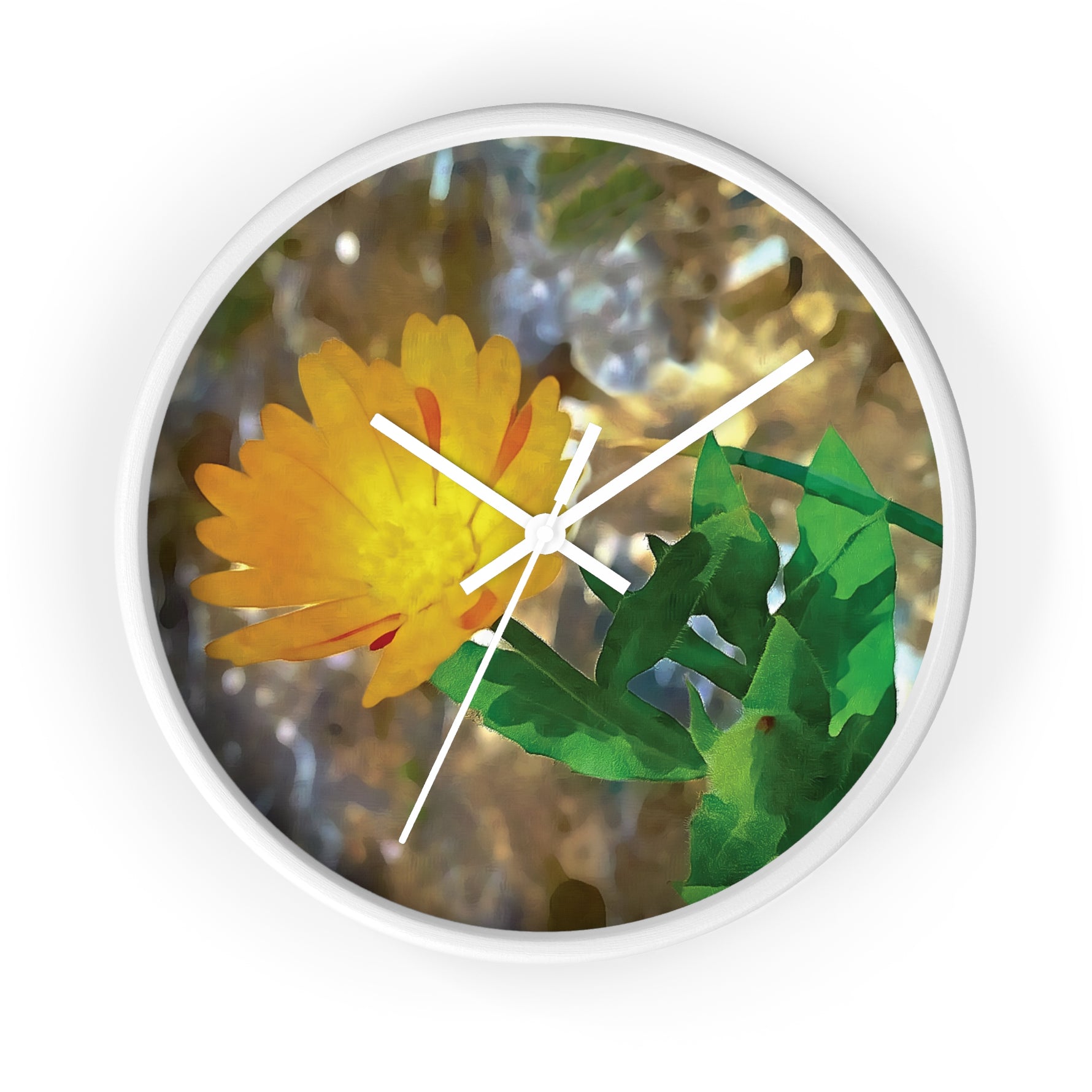 Wall Clock - Flower of Calendula