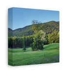Stretched Matte Canvas - Tree in a lawn (Variant 3)