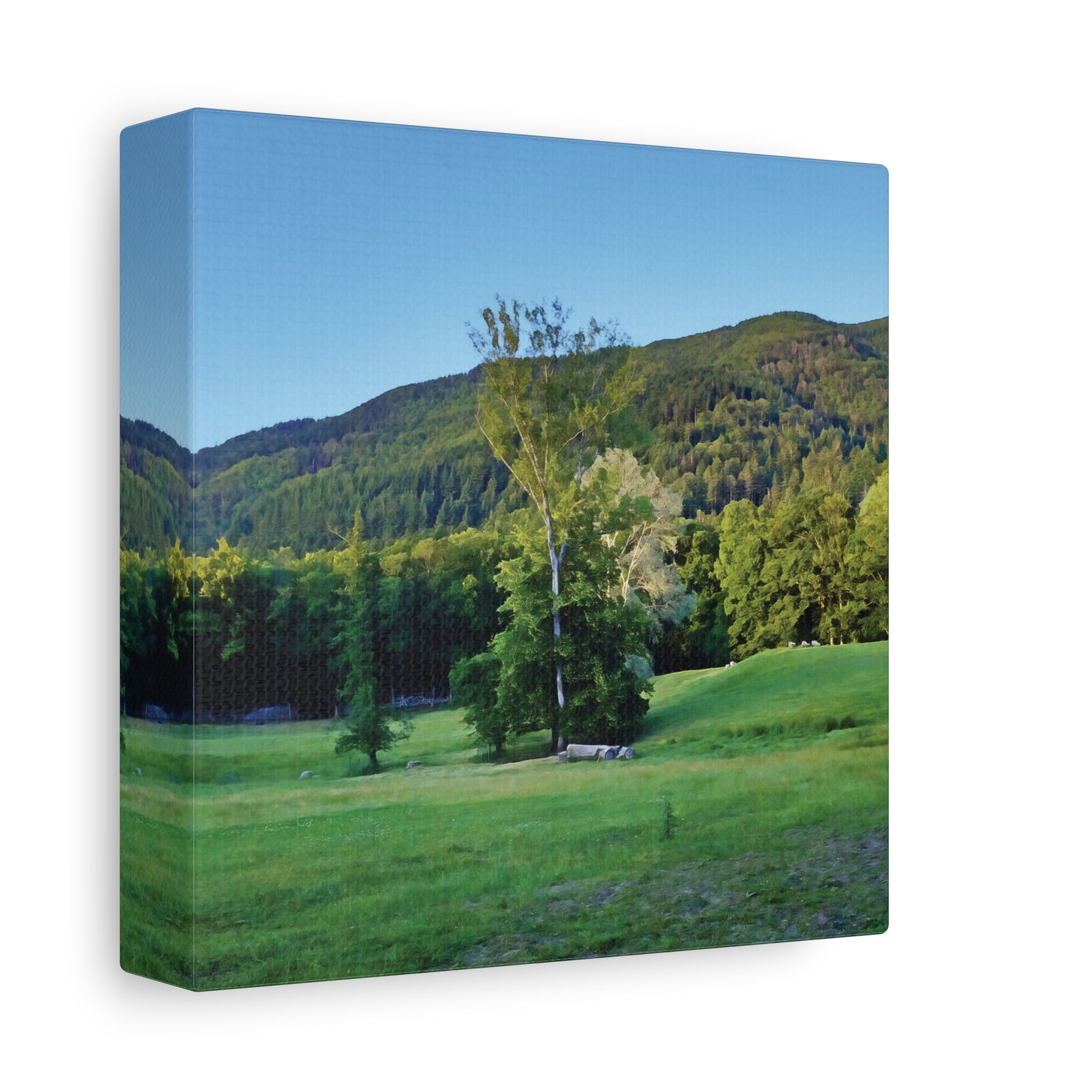 Stretched Matte Canvas - Tree in a lawn (Variant 3)