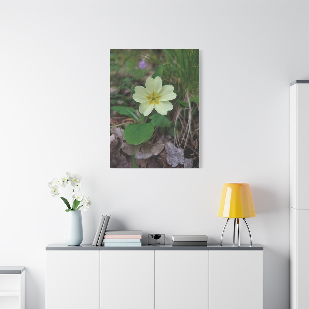 Stretched Matte Canvas - Flower of Primula