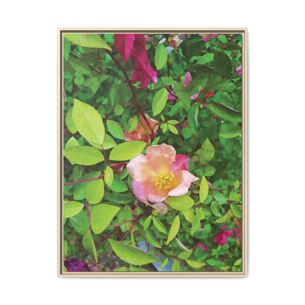 Rose | Framed Canvas