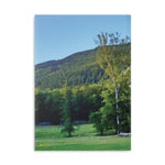 Hardcover Notebook with Puffy Covers - Tree in a Lawn (Variant 1)