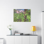 Stretched Matte Canvas - Tree of Holodiscus Dumosus