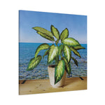 Stretched Matte Canvas - Dieffenbachia plant and Sea Landscape