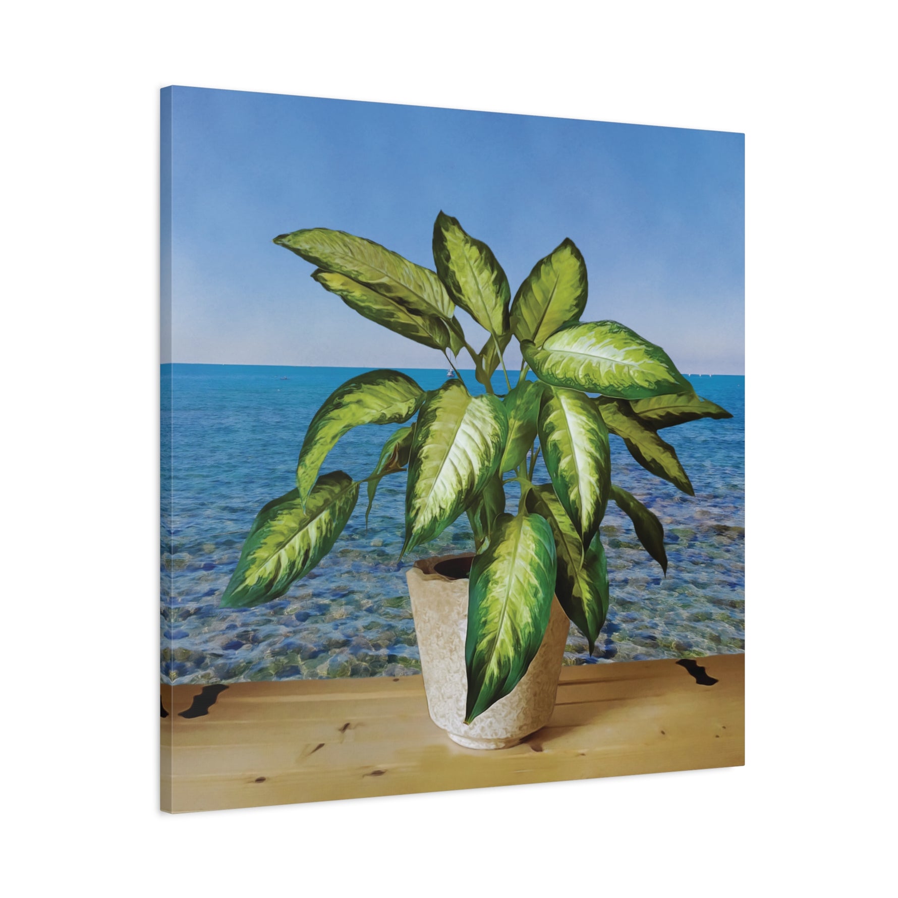 Stretched Matte Canvas - Dieffenbachia plant and Sea Landscape