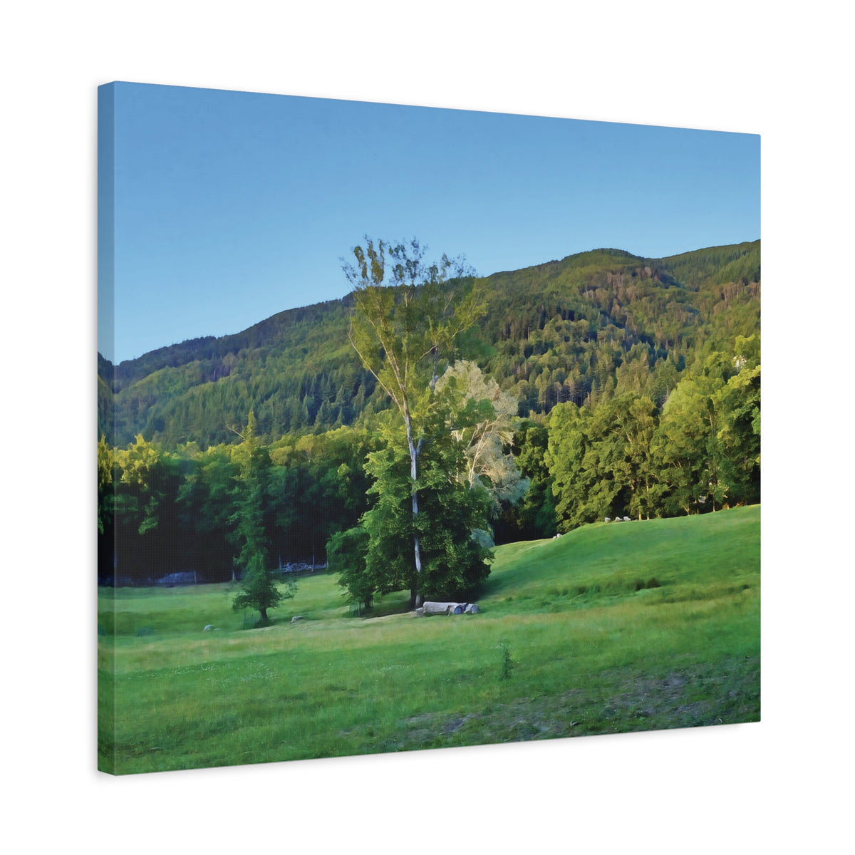 Stretched Matte Canvas - Tree in a lawn (Variant 3)
