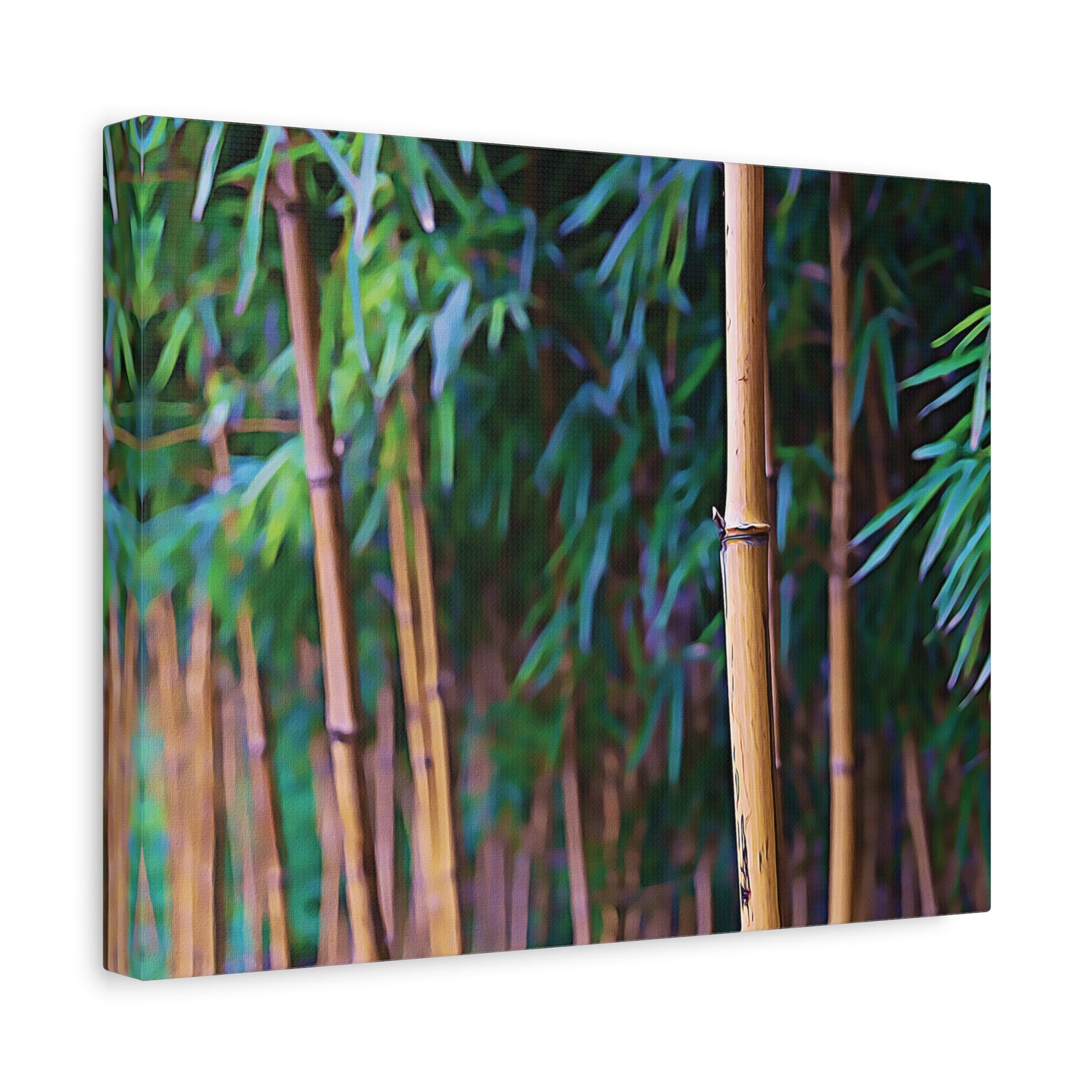 Stretched Matte Canvas - Bamboo (Variant 2)