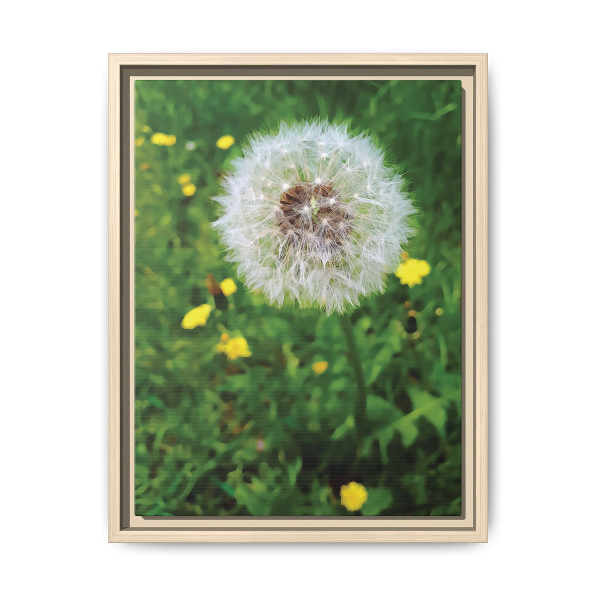 Dandelion & Yellow Whispers | Framed Canvas