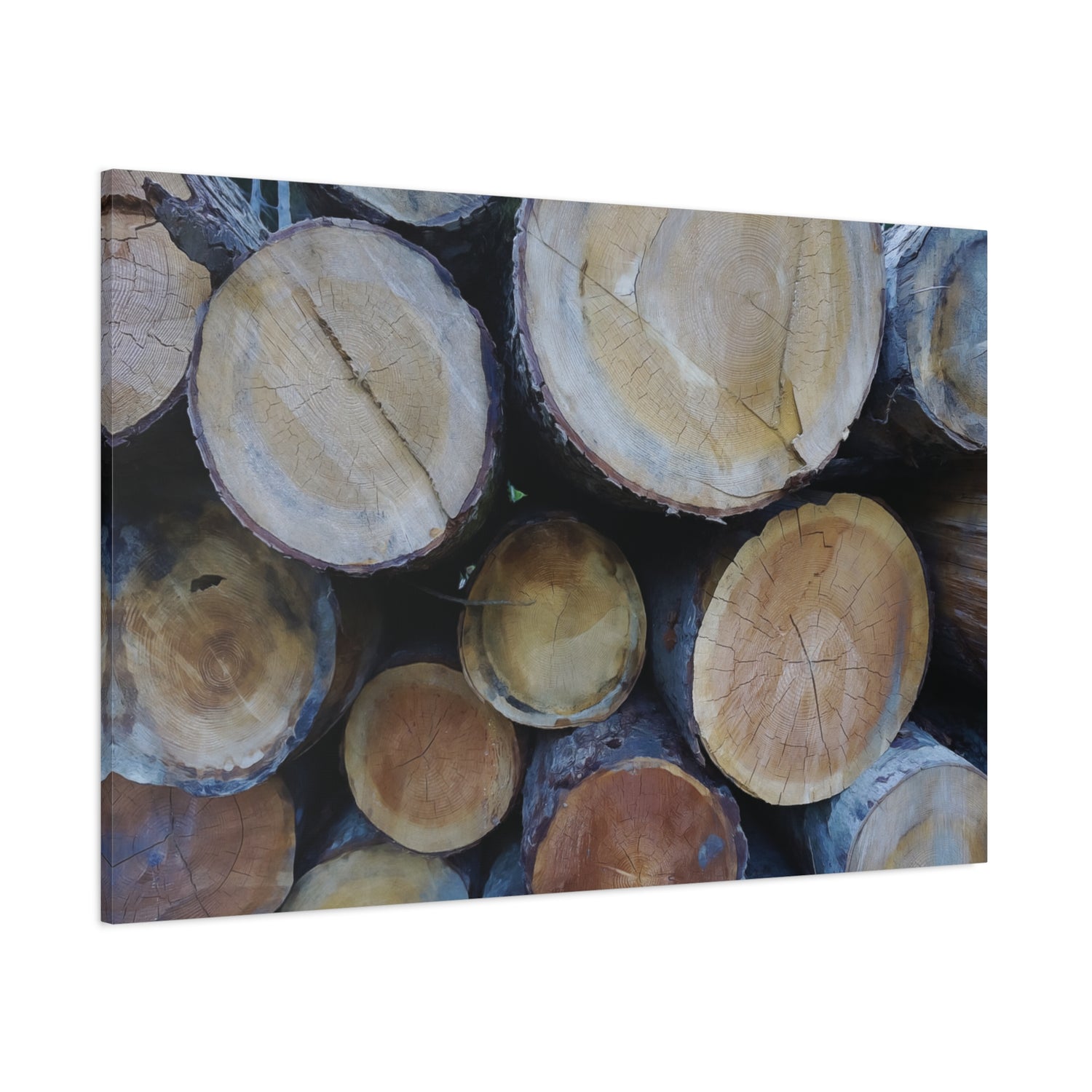 Stretched Matte Canvas - Wooden Trunks (Variant 2)