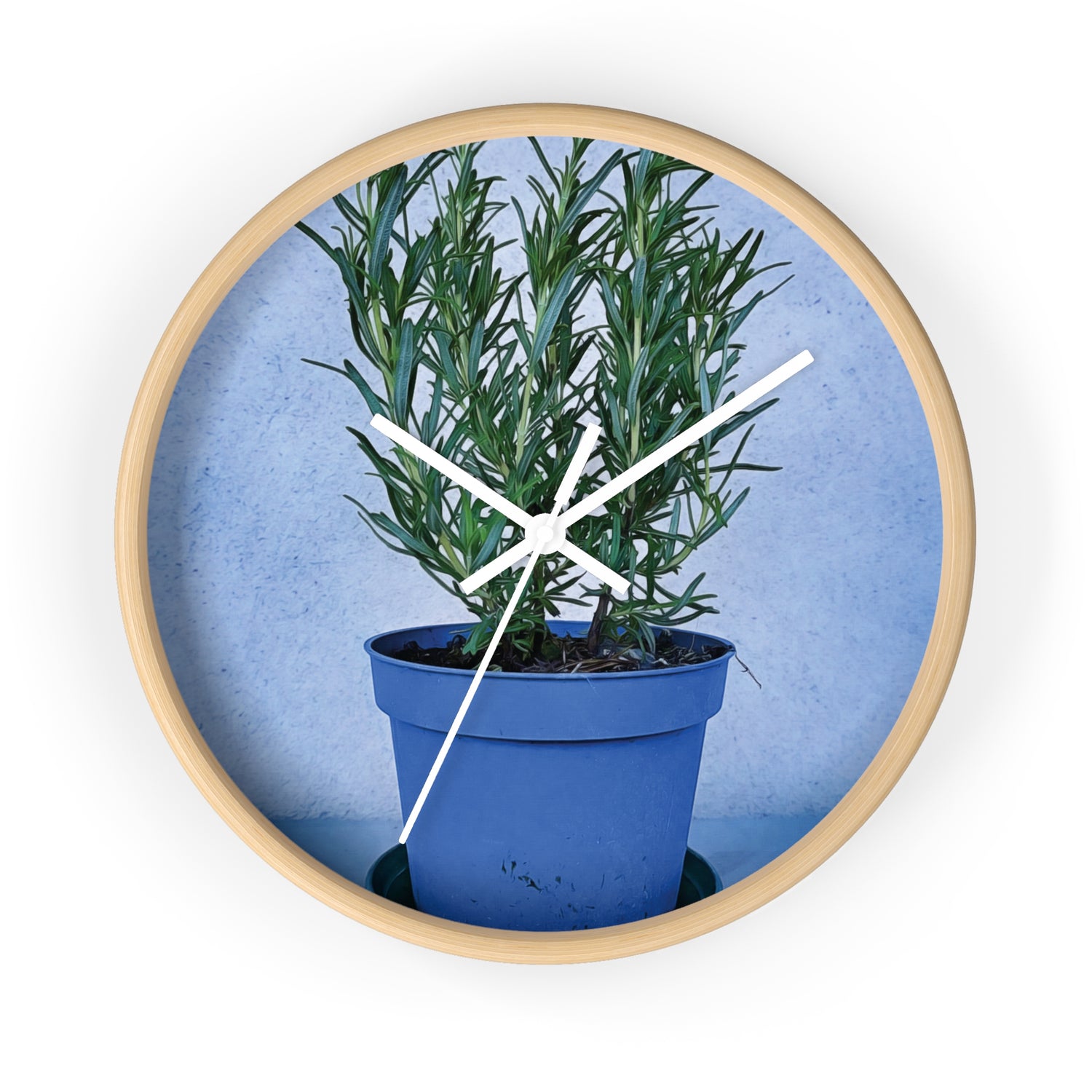 Wall Clock - Rosemary Plant