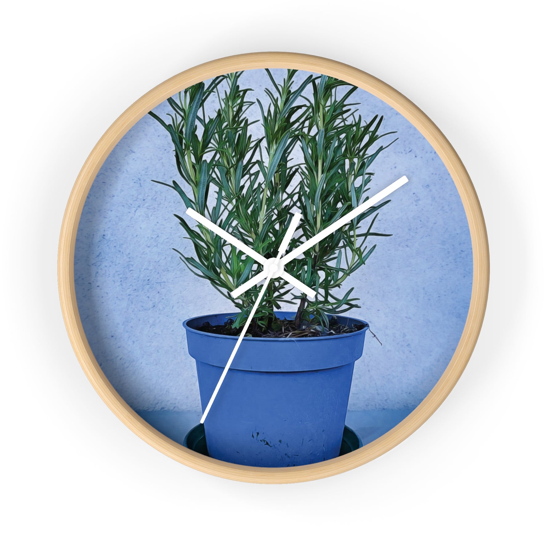 Wall Clock - Rosemary Plant