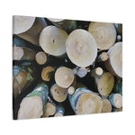 Stretched Matte Canvas - Wooden Trunks (Variant 1)
