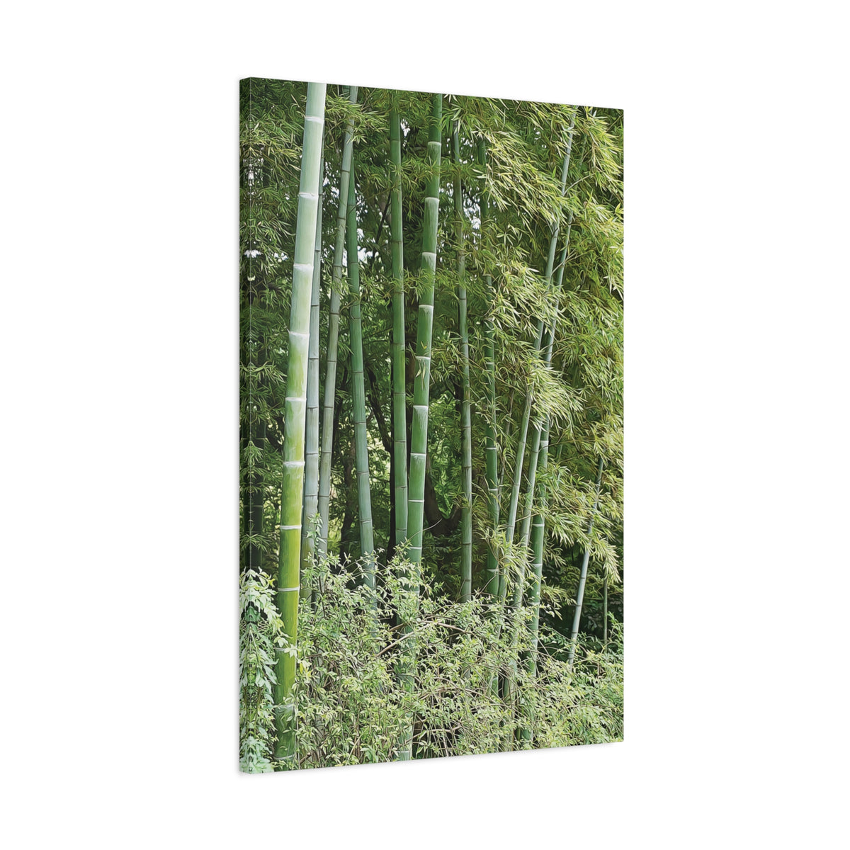 Stretched Matte Canvas - Bamboo (Variant 1)