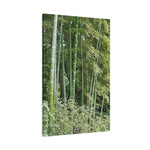 Stretched Matte Canvas - Bamboo (Variant 1)