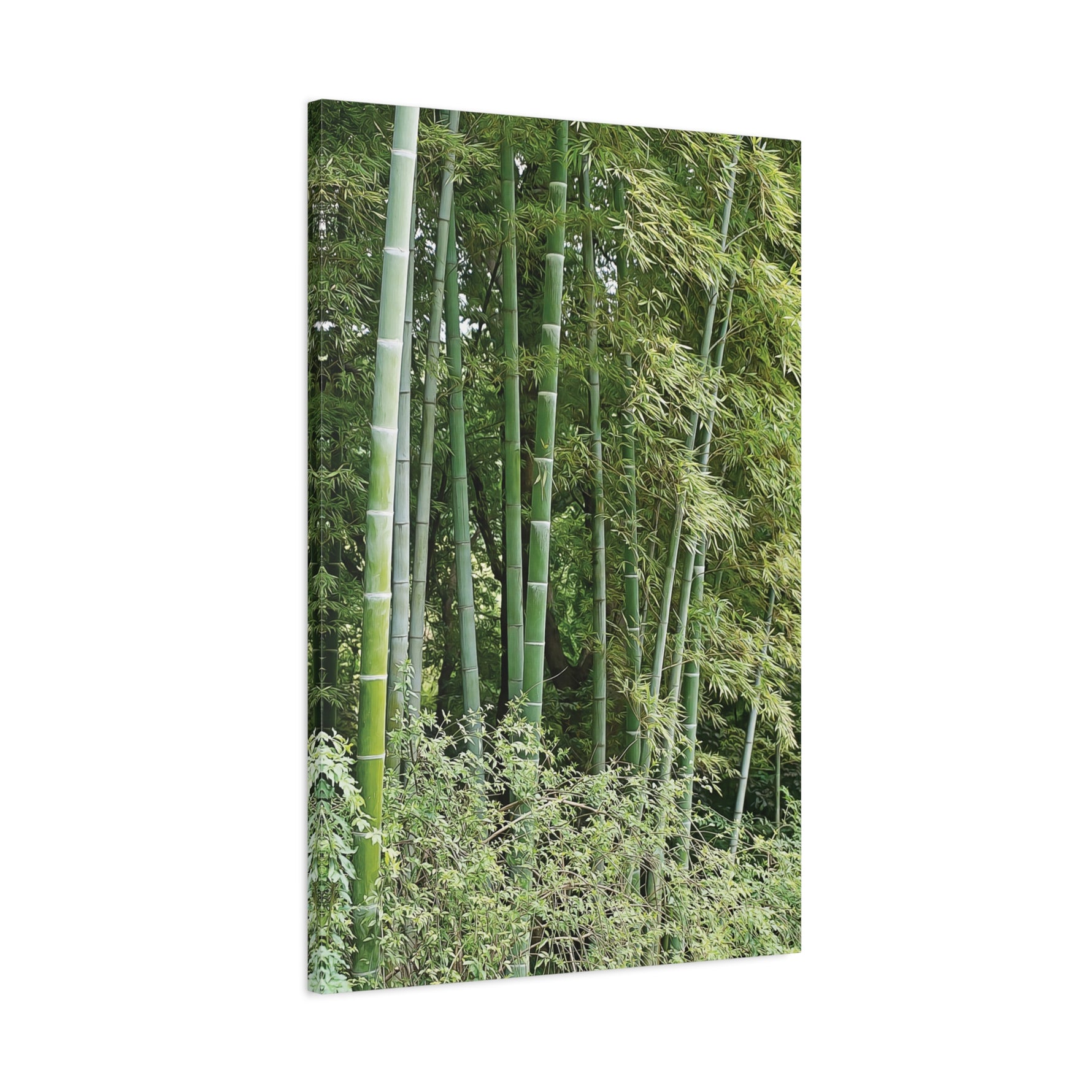 Stretched Matte Canvas - Bamboo (Variant 1)