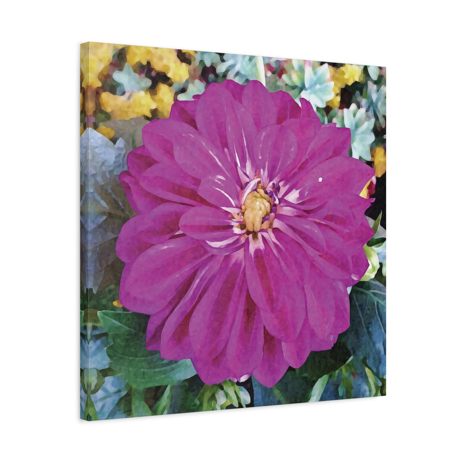 Stretched Matte Canvas - Flower of Dahlia