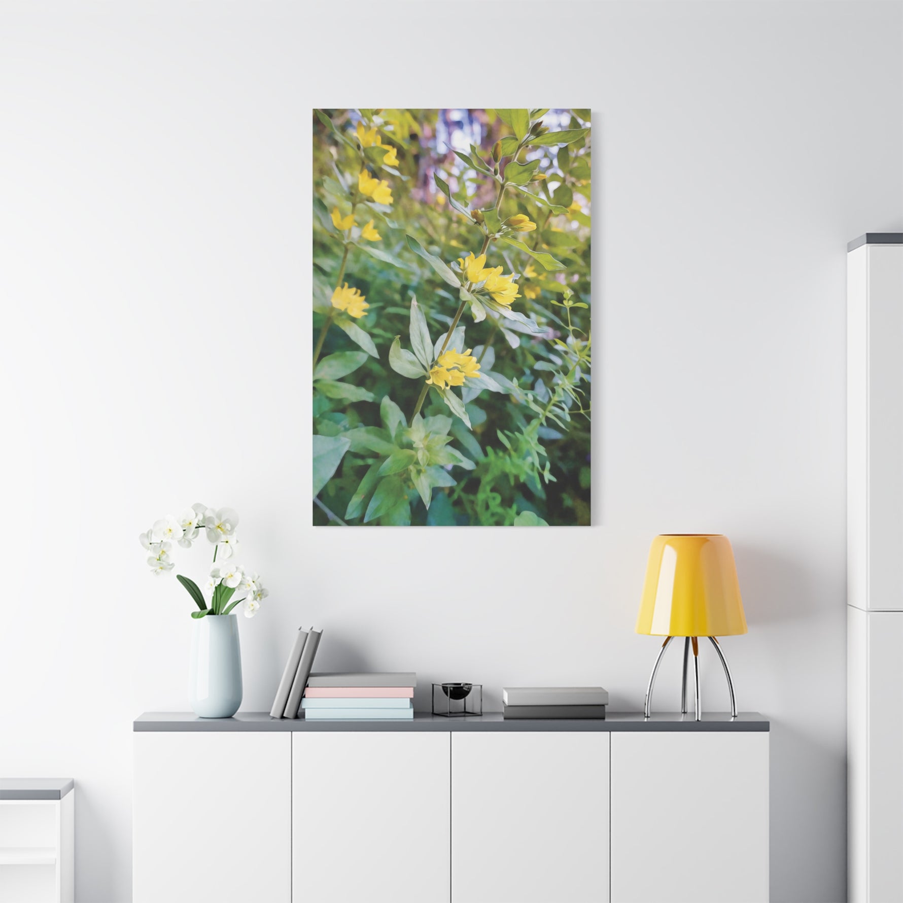 Stretched Matte Canvas - Flower of Lysimachia