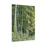 Stretched Matte Canvas - Bamboo (Variant 1)
