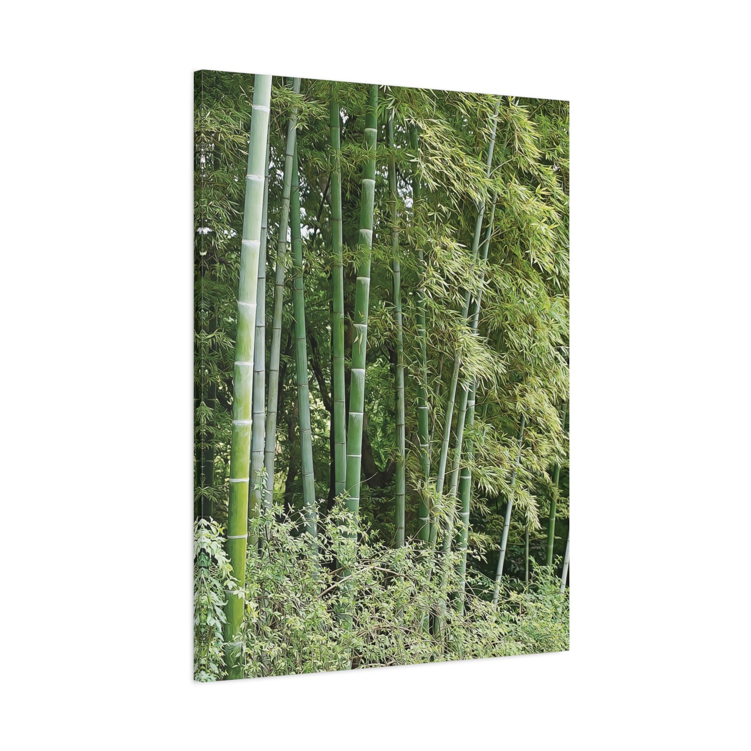 Stretched Matte Canvas - Bamboo (Variant 1)