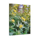 Stretched Matte Canvas - Flower of Lysimachia