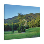 Stretched Matte Canvas - Tree in a lawn (Variant 3)