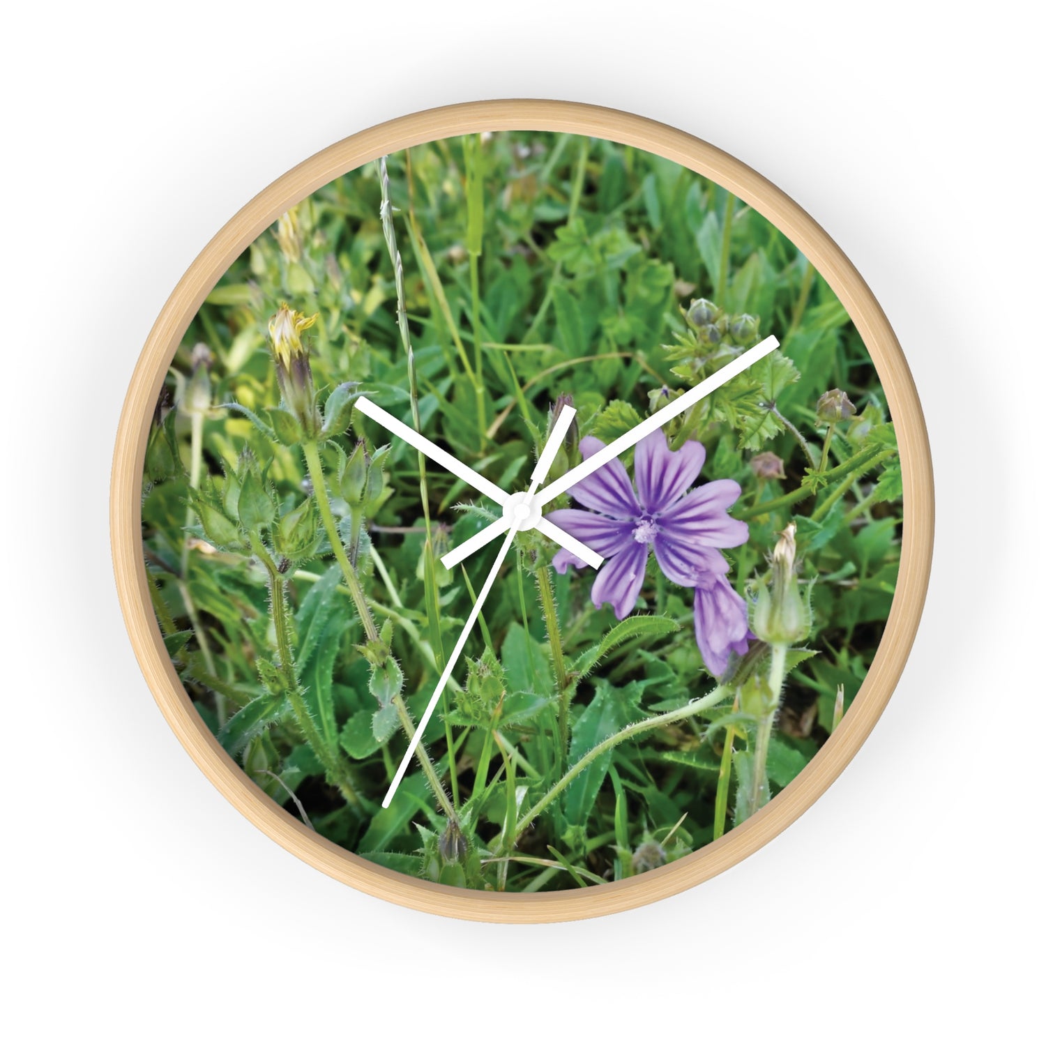 Wall Clock - Flower of Malva Sylvestris