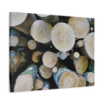 Stretched Matte Canvas - Wooden Trunks (Variant 1)