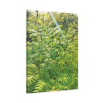 Stretched Matte Canvas - Felce Aquilina (Pteridium Aquilinum)