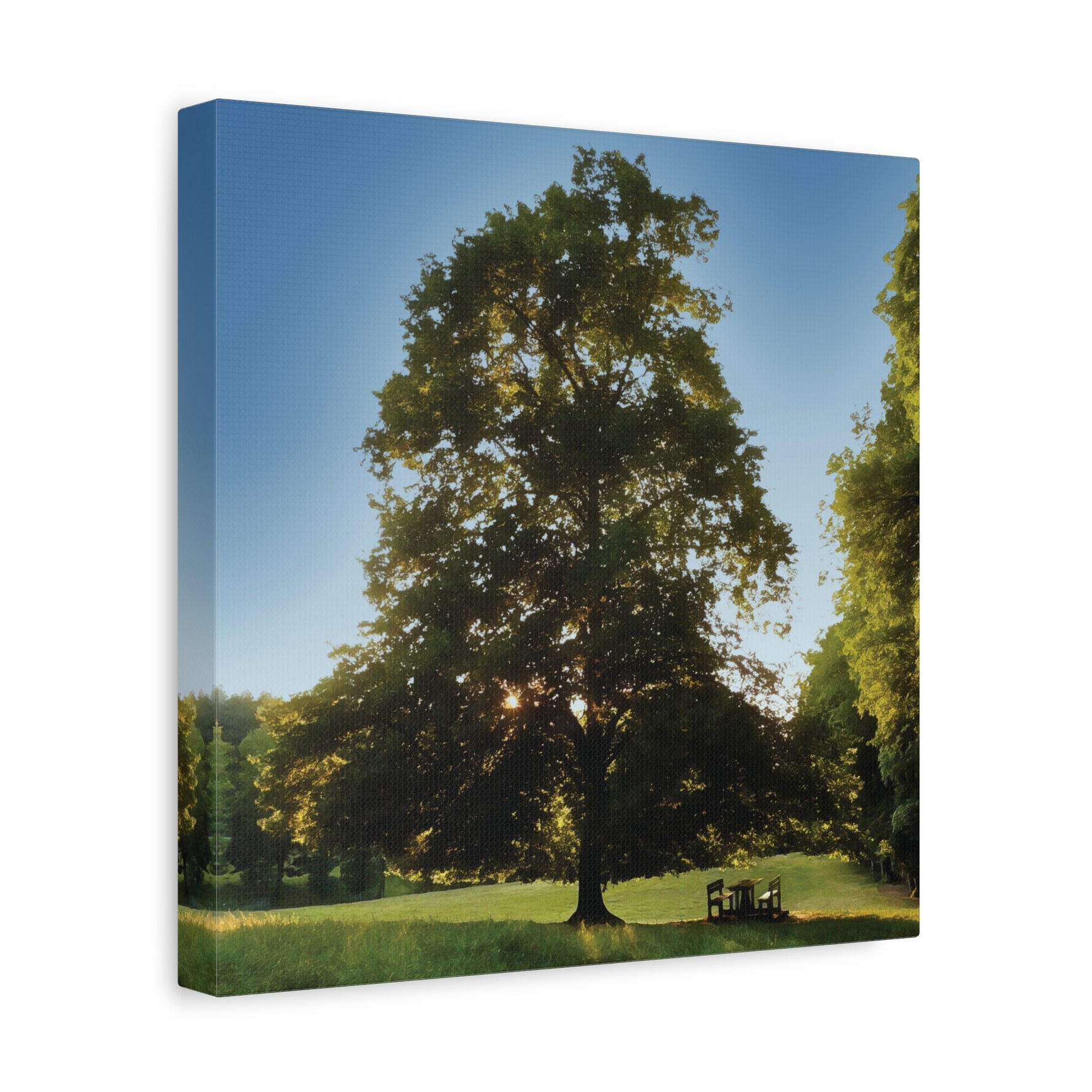 Stretched Matte Canvas - Tree in a lawn (Variant 1)