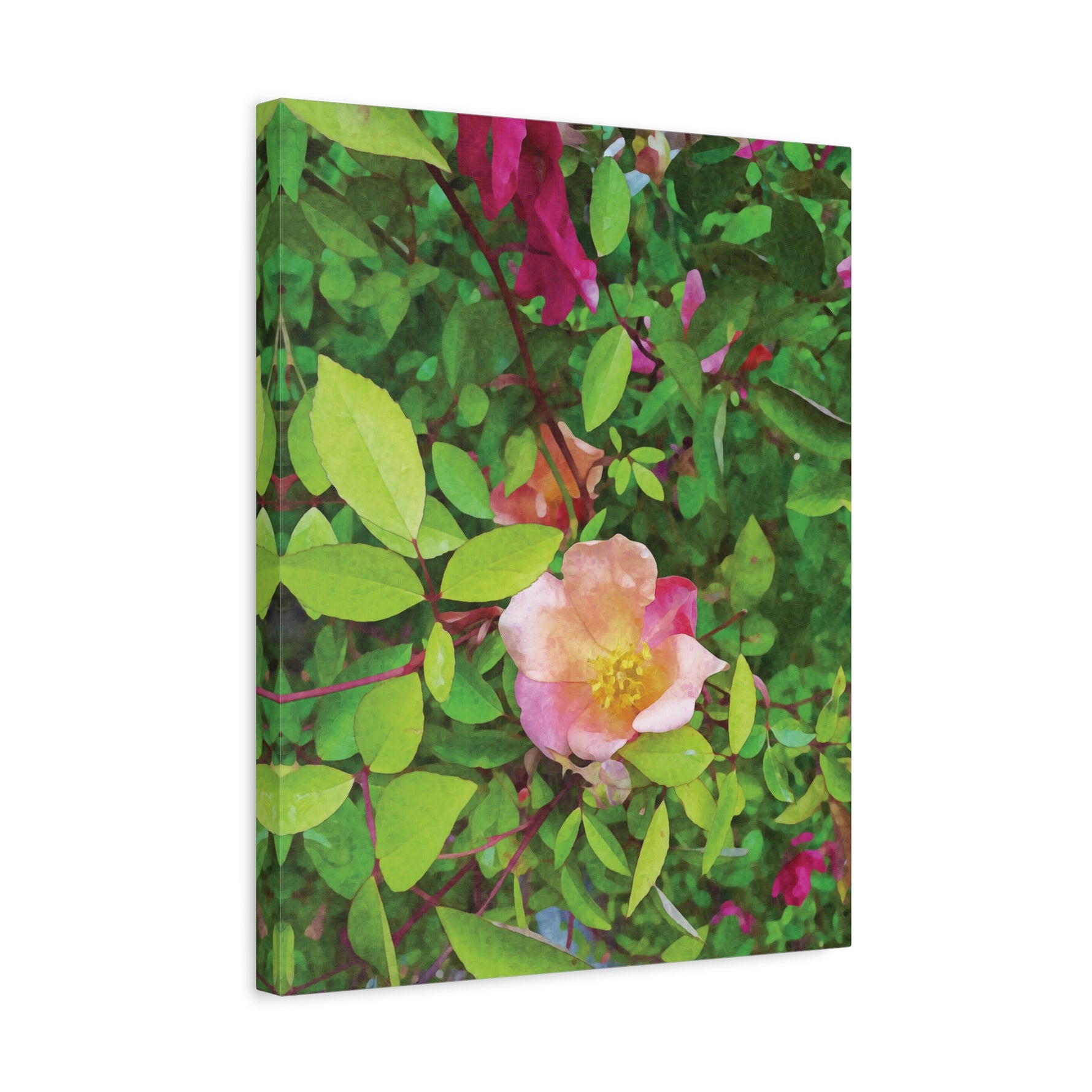 Stretched Matte Canvas - Flower of Rose