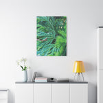 Stretched Matte Canvas - Thuja Plicata Branches