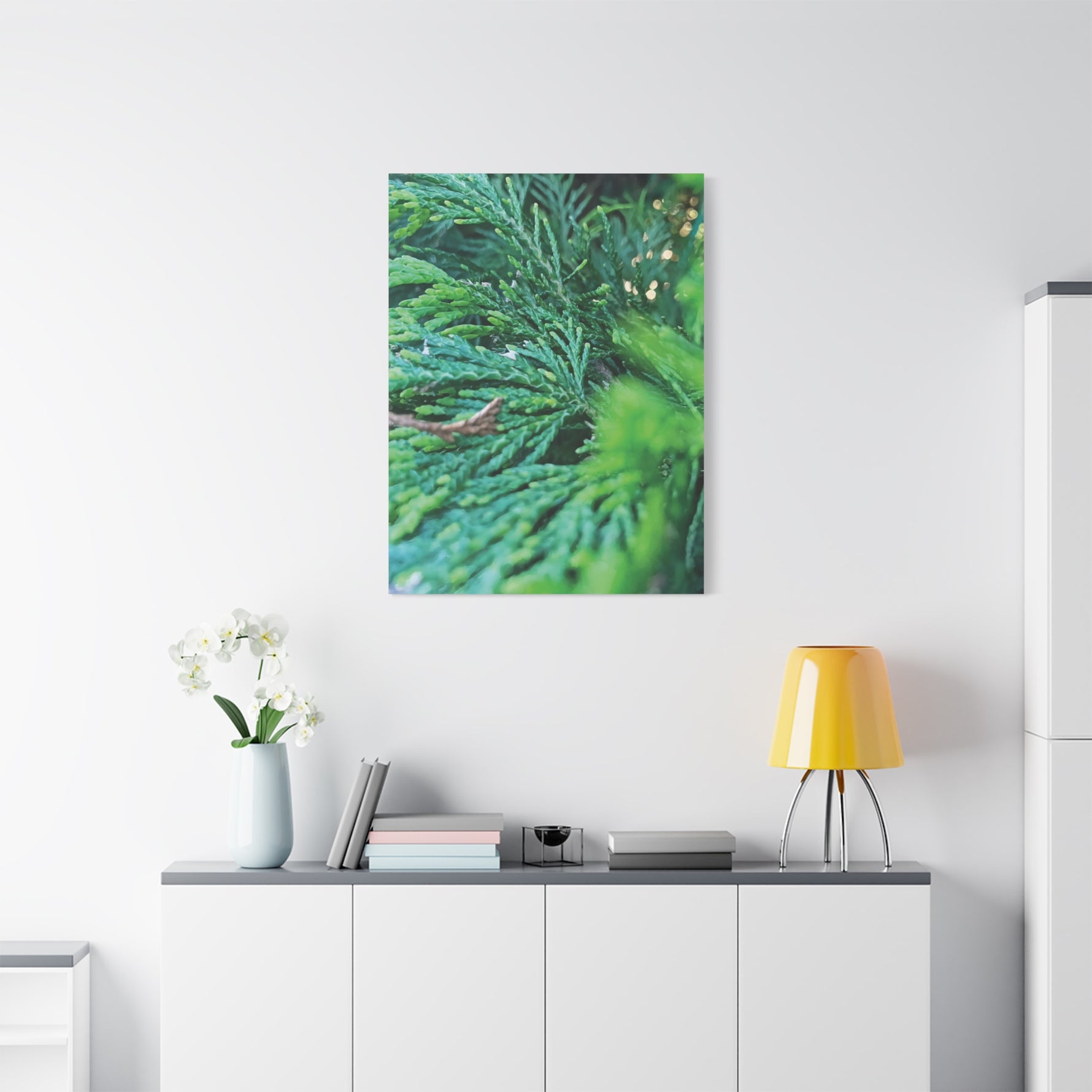 Stretched Matte Canvas - Thuja Plicata Branches