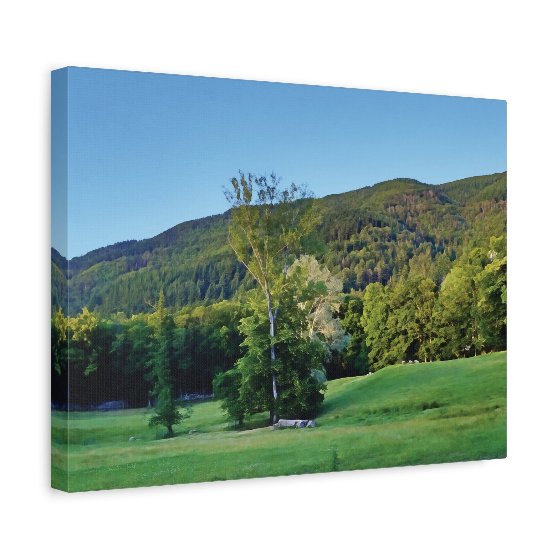 Stretched Matte Canvas - Tree in a lawn (Variant 3)