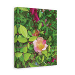 Stretched Matte Canvas - Flower of Rose