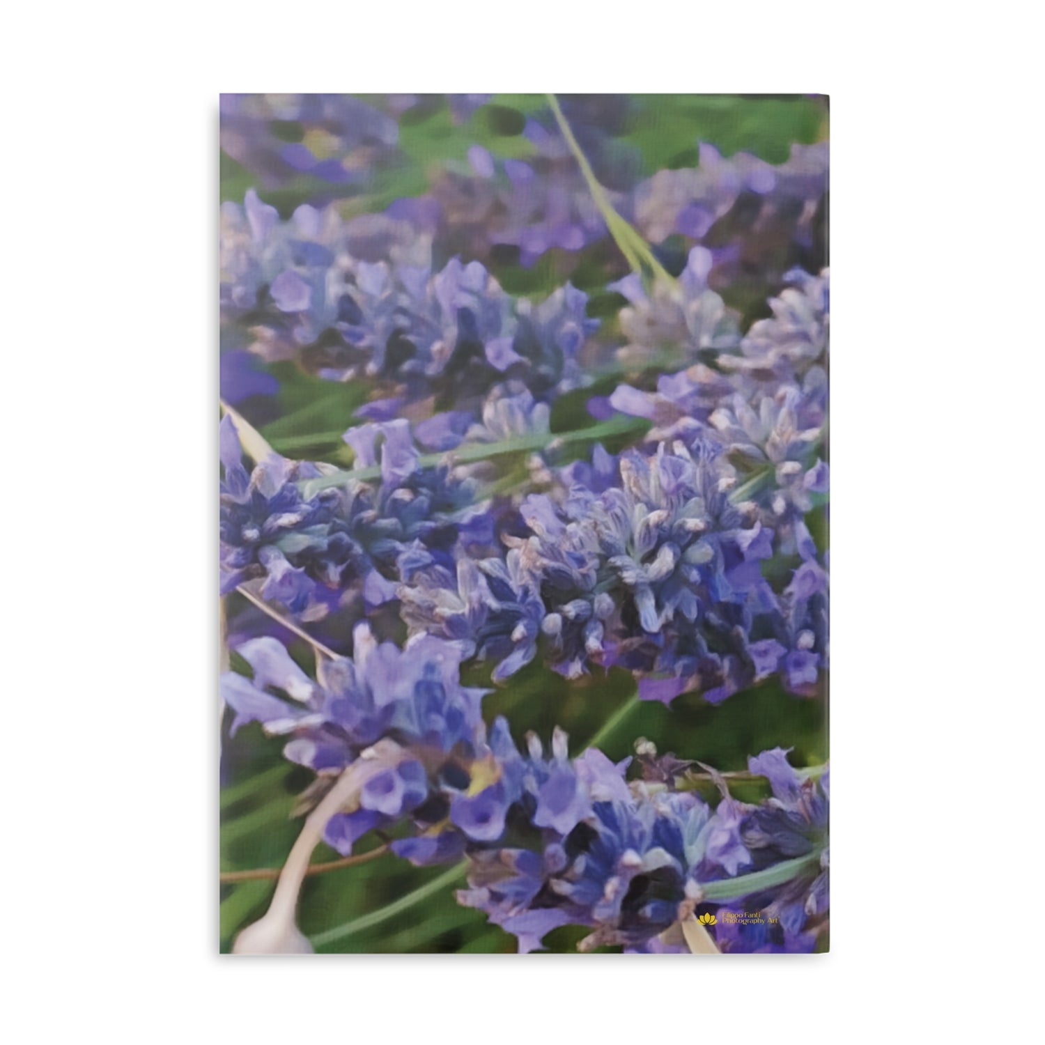 Hardcover Notebook with Puffy Covers - Flower of Lavender and Chamomile