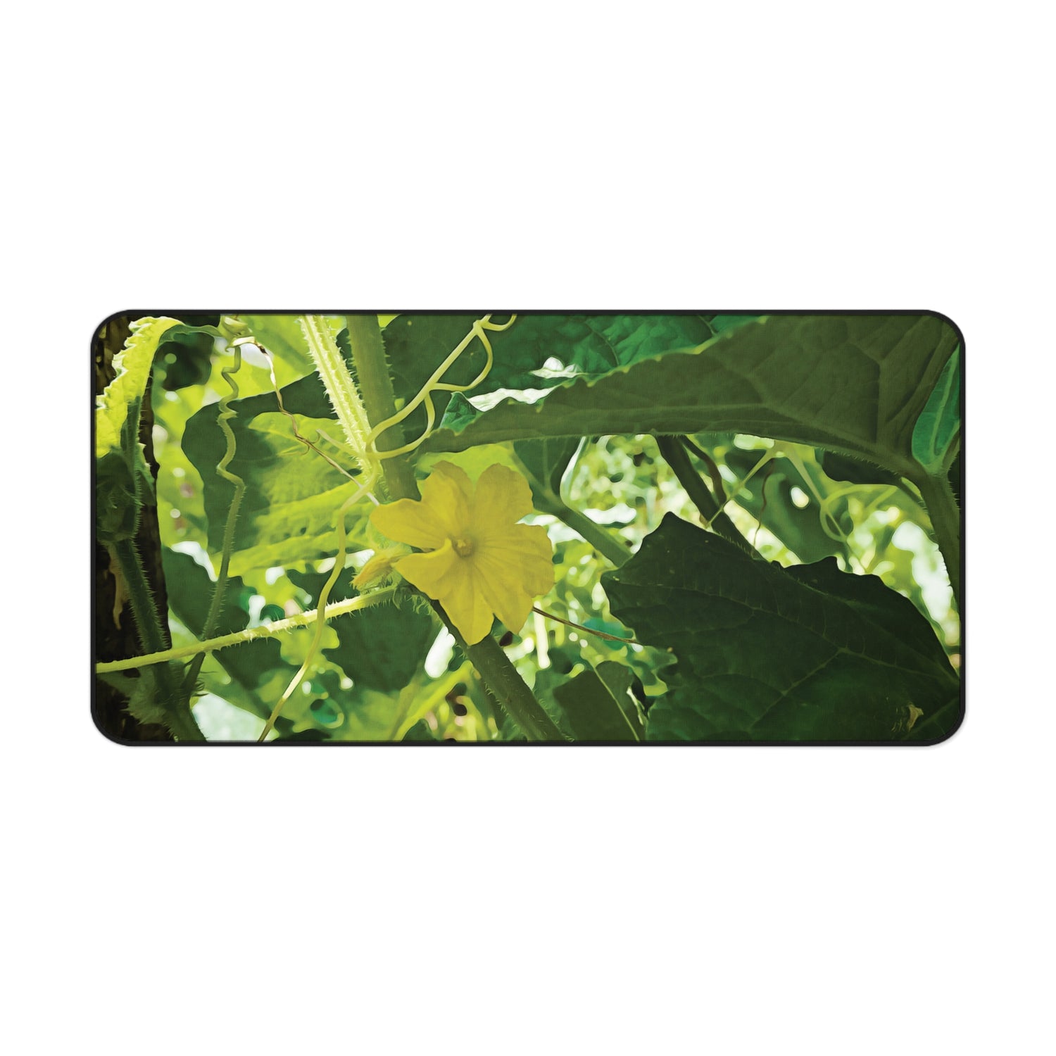 Desk Mat - Flower of Cucumber