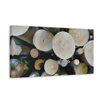 Stretched Matte Canvas - Wooden Trunks (Variant 1)