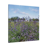 Stretched Matte Canvas - Flower of Lavender (Variant 1)