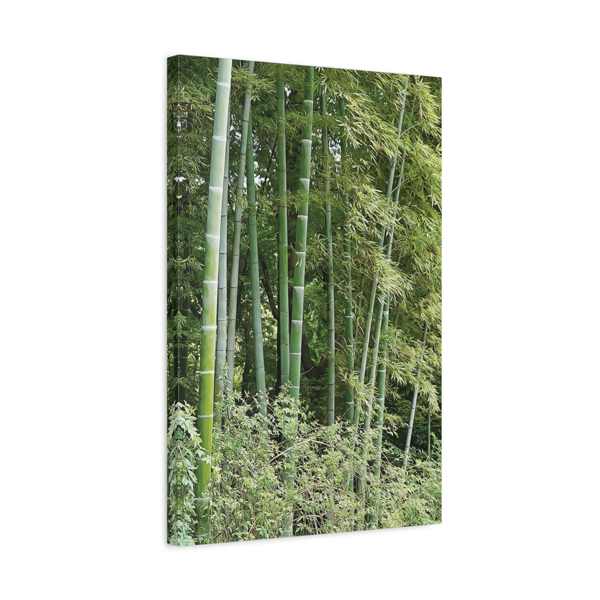 Stretched Matte Canvas - Bamboo (Variant 1)