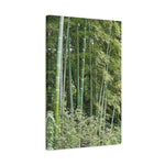 Stretched Matte Canvas - Bamboo (Variant 1)