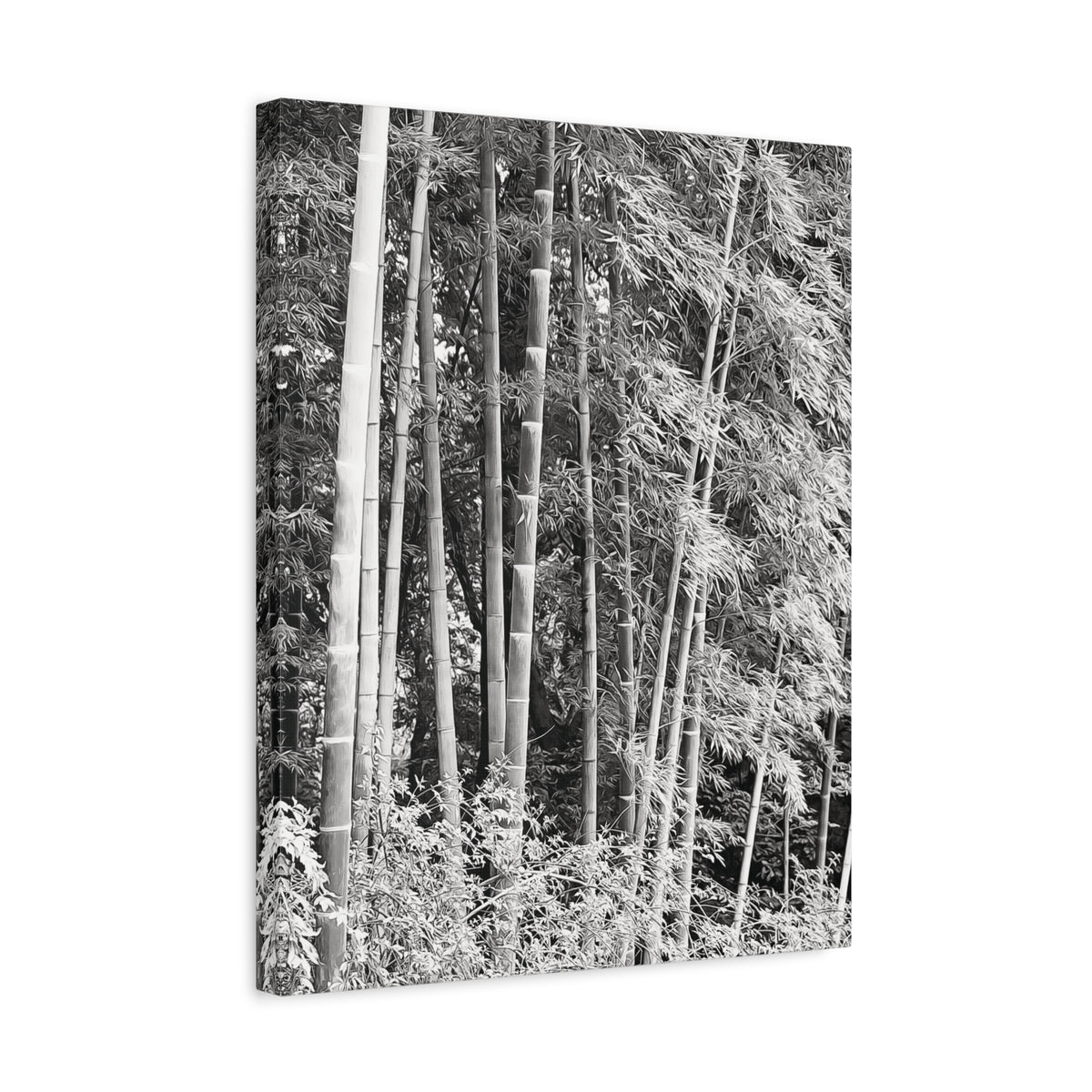 Stretched Matte Canvas - Bamboo (B&W variant)