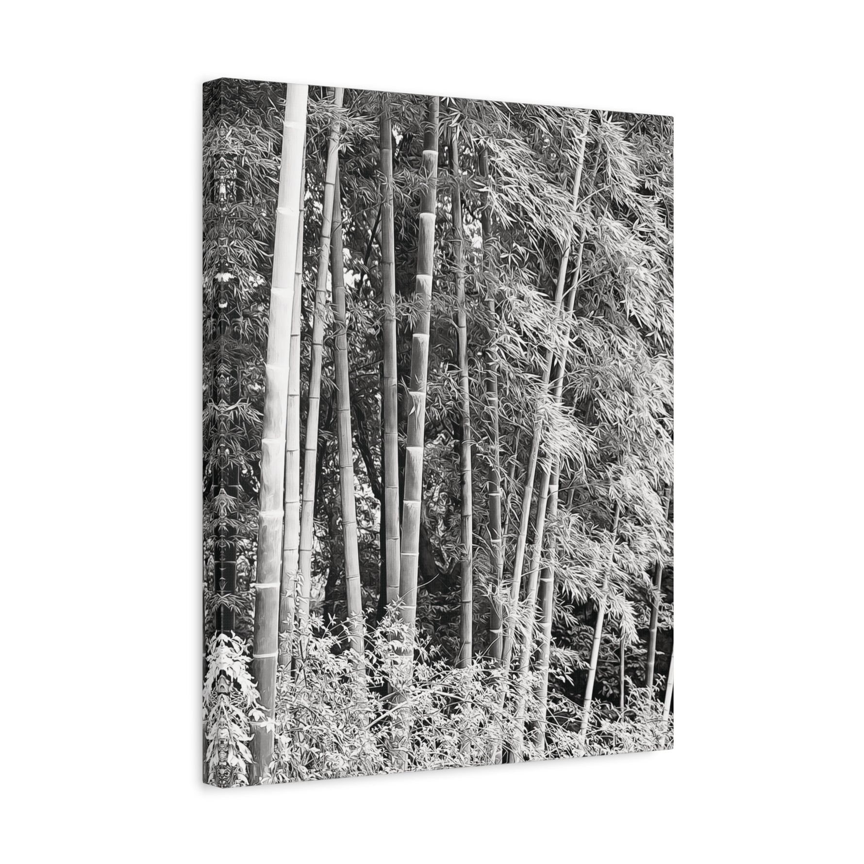 Stretched Matte Canvas - Bamboo (B&W variant)