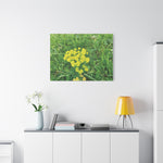 Stretched Matte Canvas - Flower of Euphorbia Cyparissias