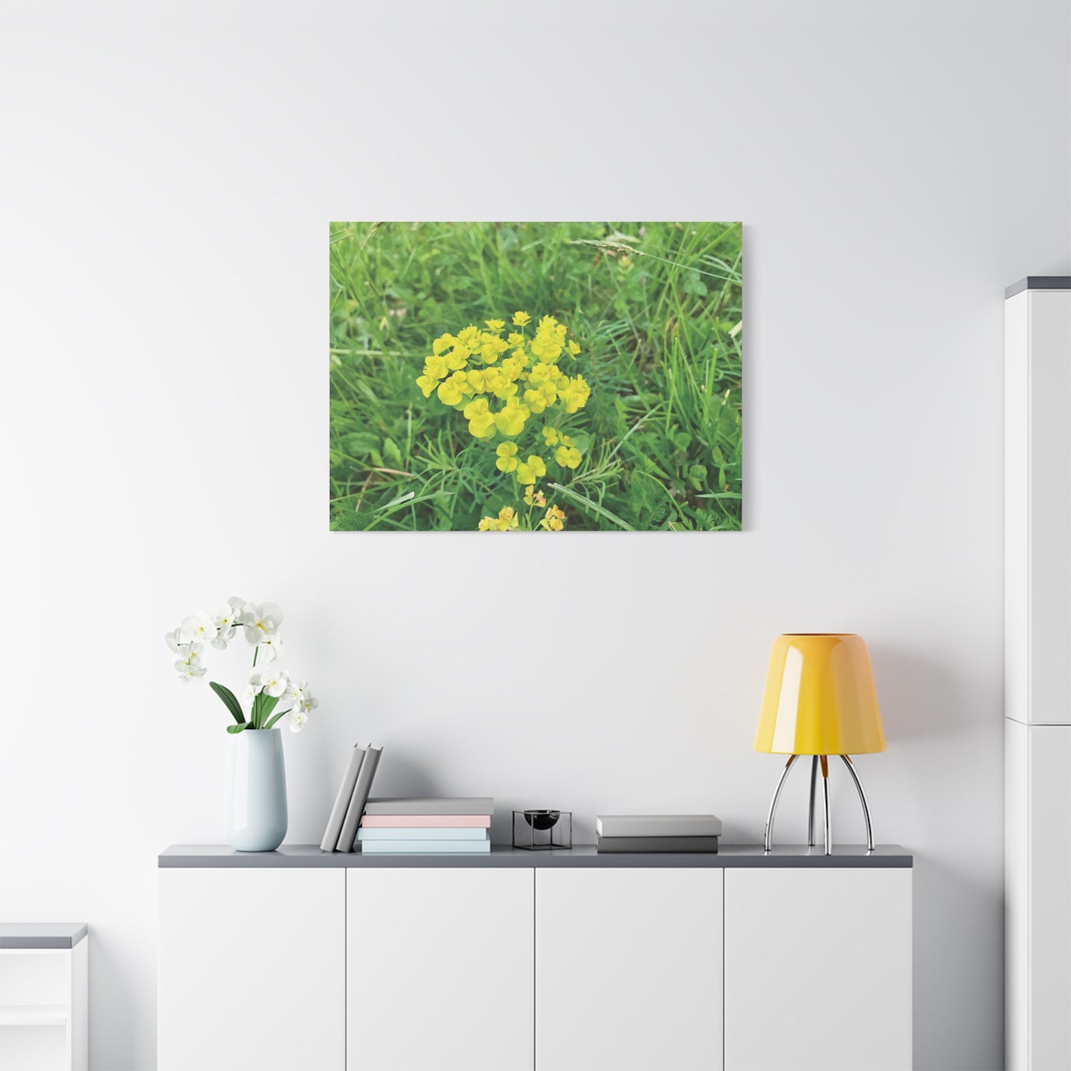Stretched Matte Canvas - Flower of Euphorbia Cyparissias