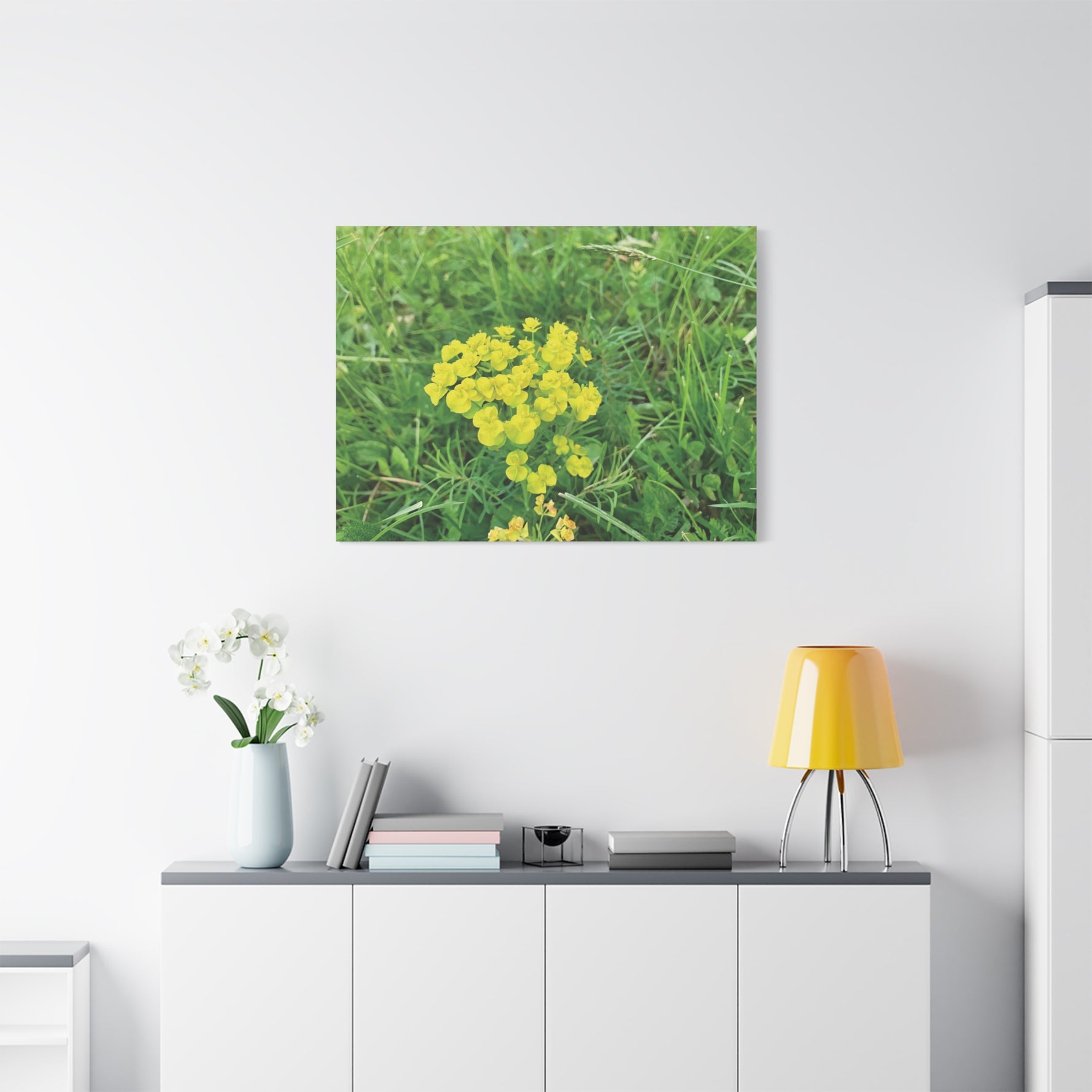 Stretched Matte Canvas - Flower of Euphorbia Cyparissias