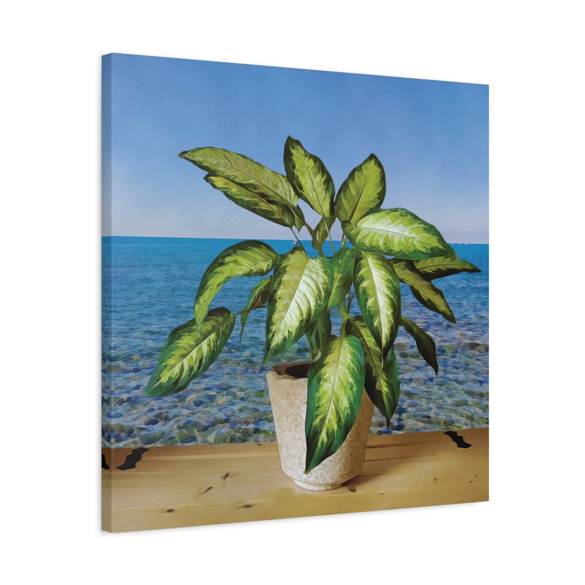Stretched Matte Canvas - Dieffenbachia plant and Sea Landscape