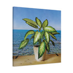 Stretched Matte Canvas - Dieffenbachia plant and Sea Landscape
