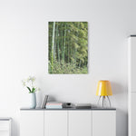 Stretched Matte Canvas - Bamboo (Variant 1)