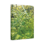 Stretched Matte Canvas - Felce Aquilina (Pteridium Aquilinum)